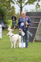 Weisse Schäferhunde, weißer schäferhund Zuchtverband, European Champion Cuo Ausstellung Jjunghundkl. rüde langst (3)