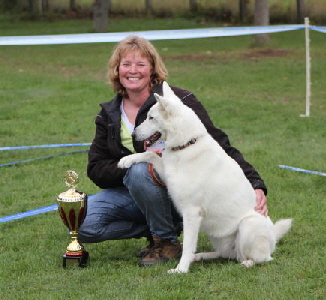 Weisse Schäferhunde, weißer schäferhund Zuchtverband, European Champion Cuo Ausstellung beste hündin (2)