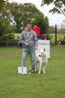 Weisse Schäferhunde, weißer schäferhund Zuchtverband, European Champion Cuo Ausstellung champ.kl rüde stock (2)