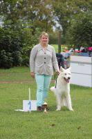 Weisse Schäferhunde, weißer schäferhund Zuchtverband, European Champion Cuo Ausstellung champ.kl langst (4)