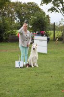 Weisse Schäferhunde, weißer schäferhund Zuchtverband, European Champion Cuo Ausstellung gebrauchshundkl.rüde langst (3)