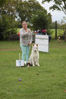 Weisse Schäferhunde, weißer schäferhund Zuchtverband, European Champion Cuo Ausstellung gebrauchshundkl.rüde langst (5)