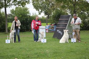 Weisse Schäferhunde, weißer schäferhund Zuchtverband, European Champion Cuo Ausstellung off.kl.hündin langst.  (13)