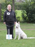 Weisse Schäferhunde, weißer schäferhund Zuchtverband, European Champion Cuo Ausstellung zuchtklasse_hündin_langst (2)
