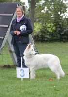Weisse Schäferhunde, weißer schäferhund Zuchtverband, European Champion Cuo Ausstellung zuchtklasse_hündin_langst (4)