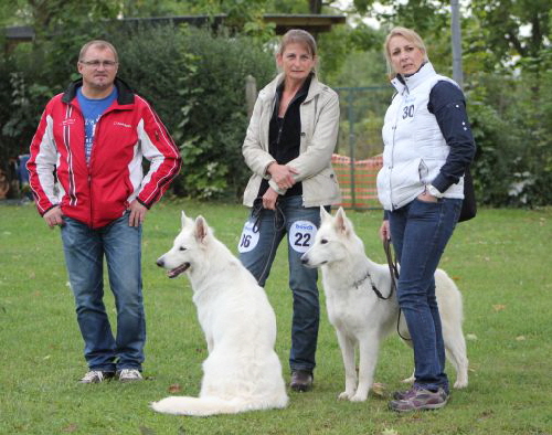 Weisser Schäferhund, weisse Schäferhunde, weisser Schäferhund Zuchtverband Ausstellung 2015 IMG_0122