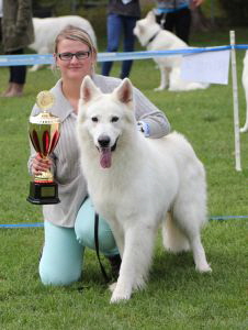 Weisse Schäferhunde, weißer schäferhund Zuchtverband, European Champion Cuo Ausstellung bester rüde (8)