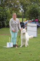 Weisse Schäferhunde, weißer schäferhund Zuchtverband, European Champion Cuo Ausstellung champ.kl langst (1)