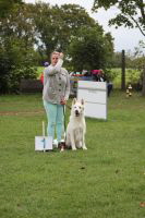 Weisse Schäferhunde, weißer schäferhund Zuchtverband, European Champion Cuo Ausstellung gebrauchshundkl.rüde langst (4)