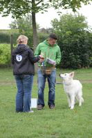 Weisse Schäferhunde, weißer schäferhund Zuchtverband, European Champion Cuo Ausstellung jüngstenkl rüde landst (2)