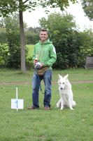 Weisse Schäferhunde, weißer schäferhund Zuchtverband, European Champion Cuo Ausstellung jüngstenkl rüde landst (5)