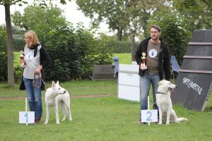 Weisse Schäferhunde, weißer schäferhund Zuchtverband, European Champion Cuo Ausstellung jüngstenkl rüde stock (8)