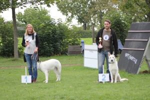 Weisse Schäferhunde, weißer schäferhund Zuchtverband, European Champion Cuo Ausstellung jüngstenkl rüde stock (9)