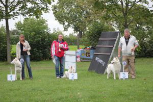 Weisse Schäferhunde, weißer schäferhund Zuchtverband, European Champion Cuo Ausstellung off.kl.hündin langst.  (14)