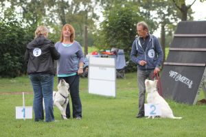 Weisse Schäferhunde, weißer schäferhund Zuchtverband, European Champion Cuo Ausstellung welpenklasse hündin langstock